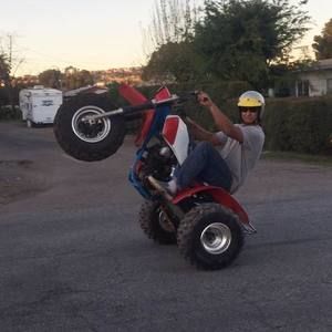 Meet your Posher, Alex